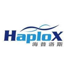 战争围城贝洛斯之战 