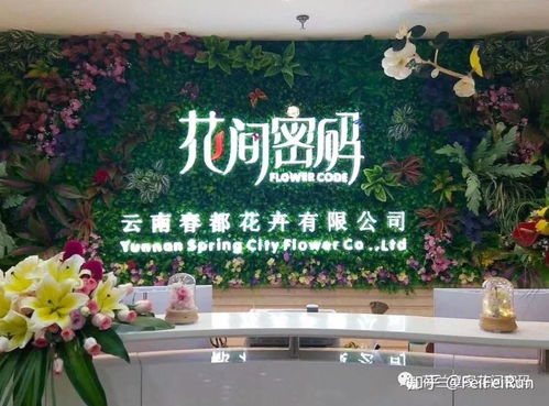 花间直播app官方版免费下载 
