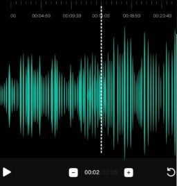 音频转文字识别安卓下载 