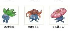 走路联盟手机应用最新下载地址 
