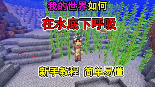 木筏世界水上大乱斗最新版 