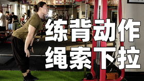 奇漫屋下拉式免费阅读下拉式 