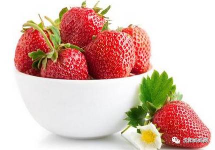 草莓影视电视剧免费观看 草莓影视电视剧免费观看