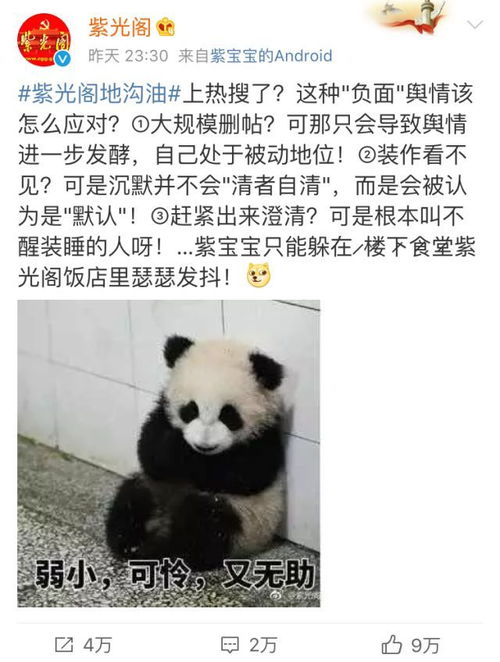 紫光影视下载官网版 