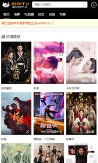 速影tv在线观看 