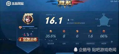 王者荣耀极光辅助 