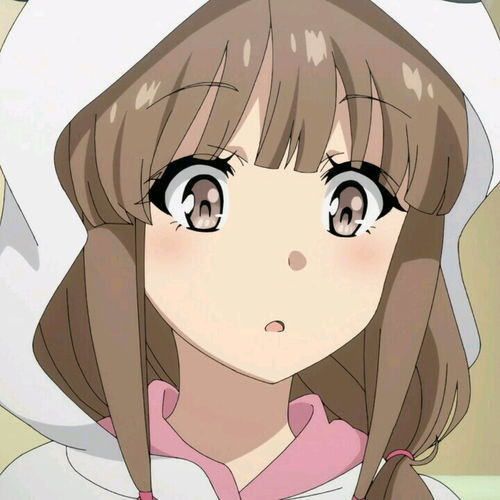 我不叫猪头三 
