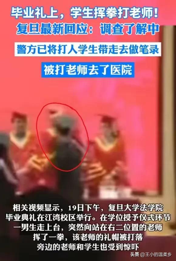 我打人贼凶 