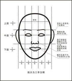 比例助手安卓手机免费 
