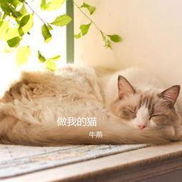 做我女朋友好吗 