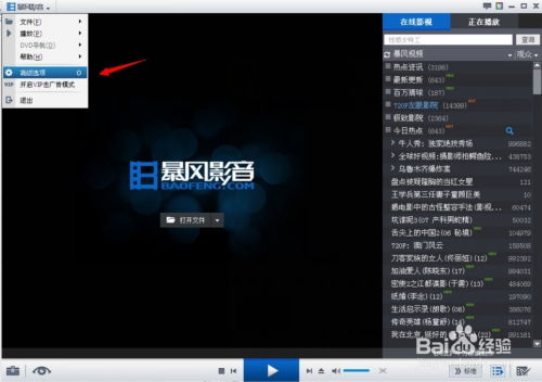 99看片播放器免费看片 