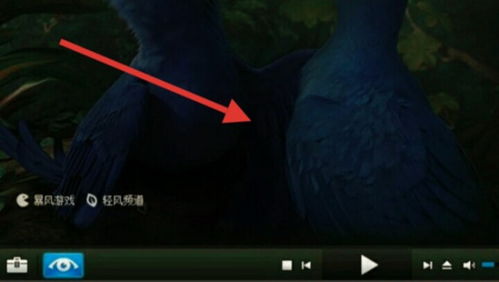 格式工厂转换器免费版 