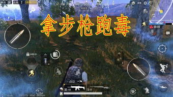 跑毒游戏,一场紧张刺激的病毒蔓延冒险之旅