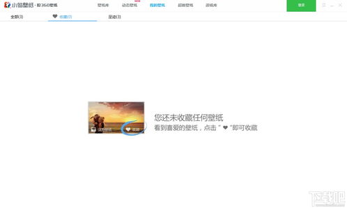 小鸟壁纸 