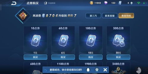 王者荣耀极光辅助 