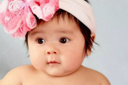 婴幼儿宝宝辅食食谱 