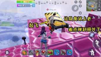 百分之一游戏 