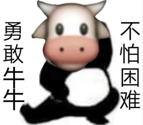牛牛影视 