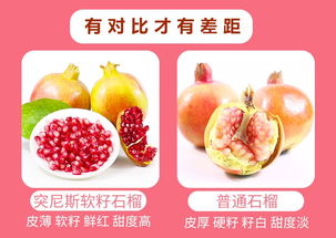 石榴视频网站app下载 石榴视频网站app下载