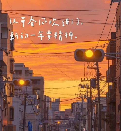 胖鱼道炫云电脑下载 