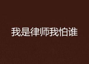 百姓律师 