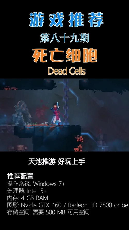 收集癖的游戏,揭秘游戏玩家的收藏狂热之旅