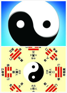 我的属性人类属性测试器 
