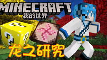 我的世界龙珠生存  我的世界龙珠生存