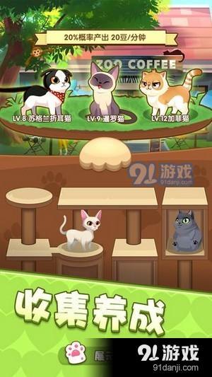 养猫达人抖音小游戏  养猫达人抖音小游戏