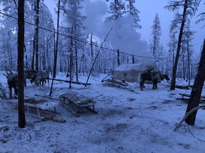 节奏盒子极寒之地模组  节奏盒子极寒之地模组