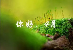 四月染色  四月染色