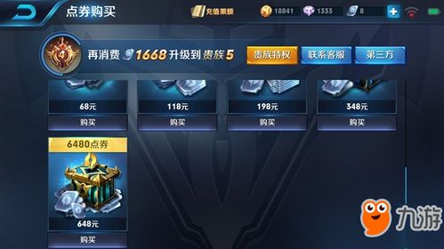 王者荣耀极光辅助  王者荣耀极光辅助