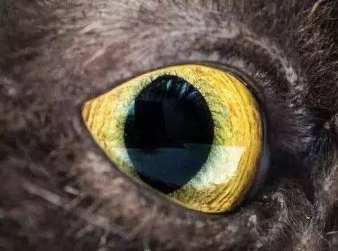 飞机驾驶真实模拟真实版  飞机驾驶真实模拟真实版