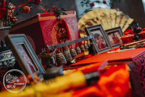 红叶影评官网版 