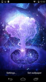 鱼池动态壁纸(锦鲤动态壁纸) 