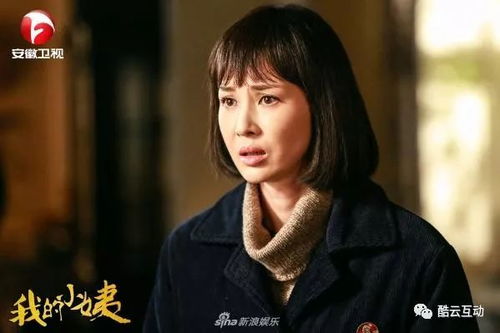 蜗牛视频免费观看电视剧 